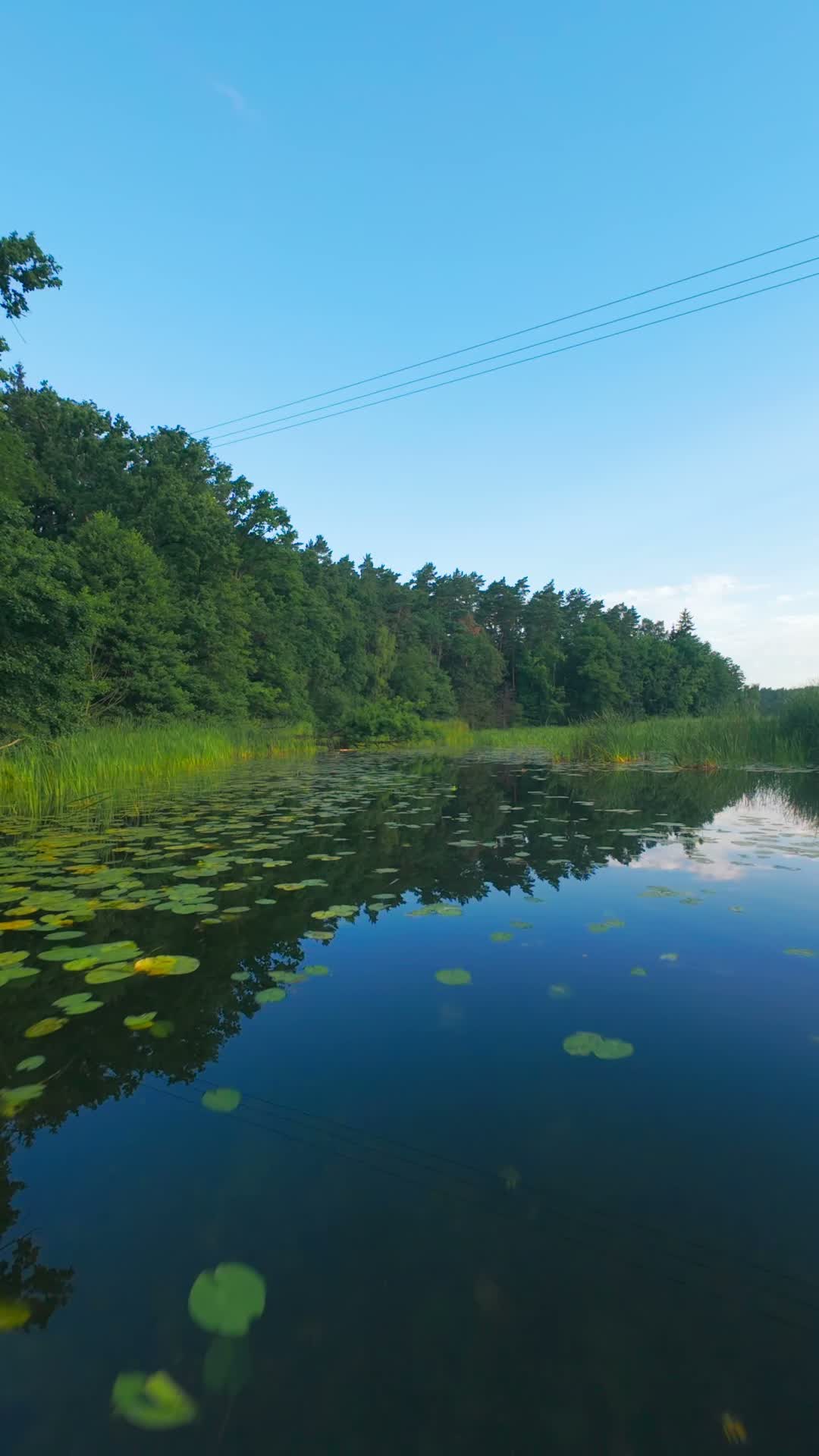 Tama na Jeziorze Bachotek Short - A drone video from Artur Dembowski's portfolio on LetsFly.