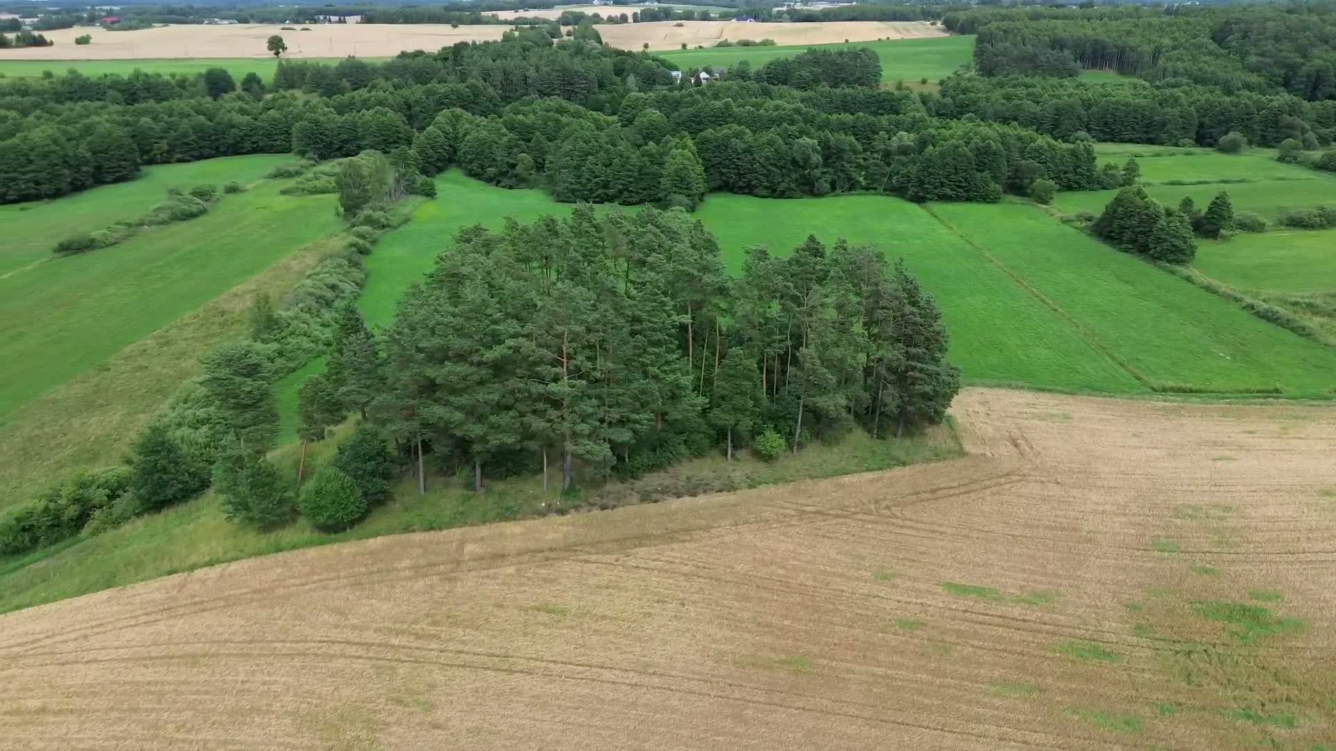 A drone video from Patryk Toczyński's portfolio on LetsFly.