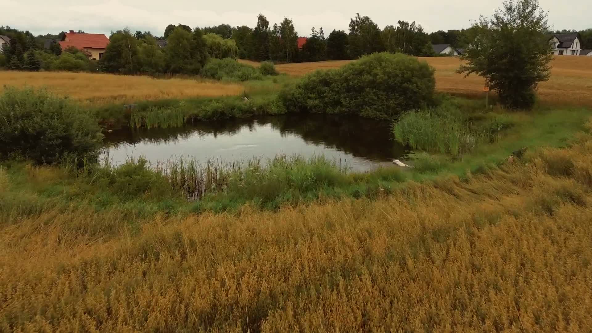 A drone video from Patryk Toczyński's portfolio on LetsFly.
