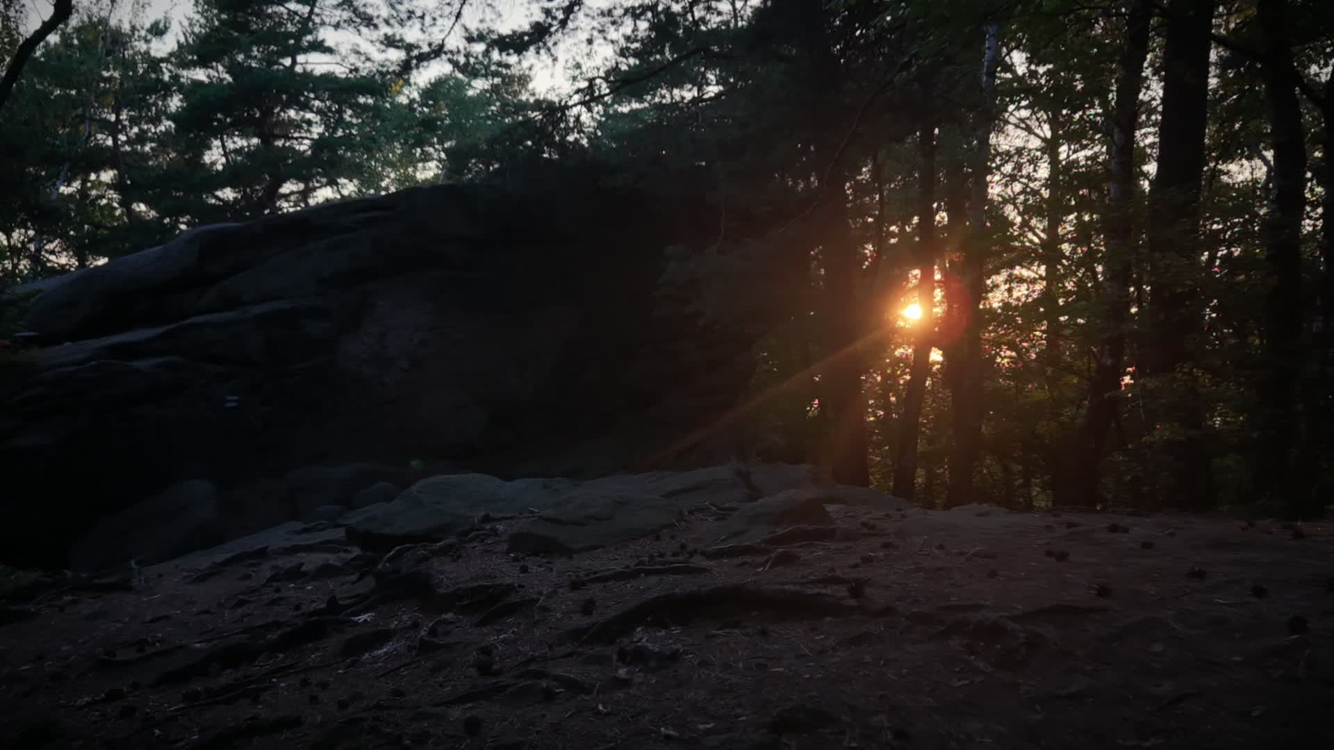 33464 - A drone video from Piotr Siwek's portfolio on LetsFly.