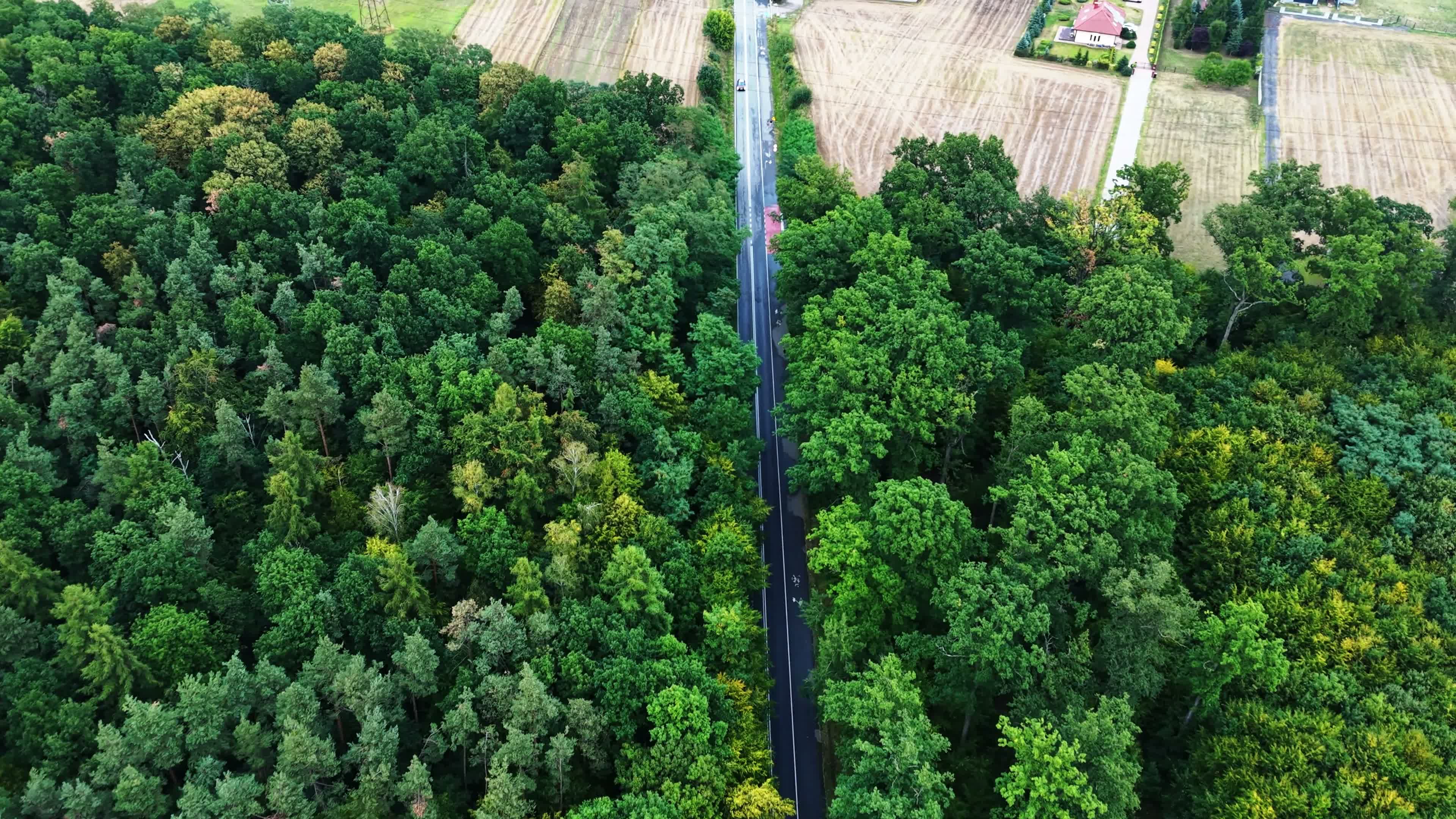 Przelot Las Konin Rudzica - Film z drona w portfolio na LetsFly. Autor: Kacper Ko.