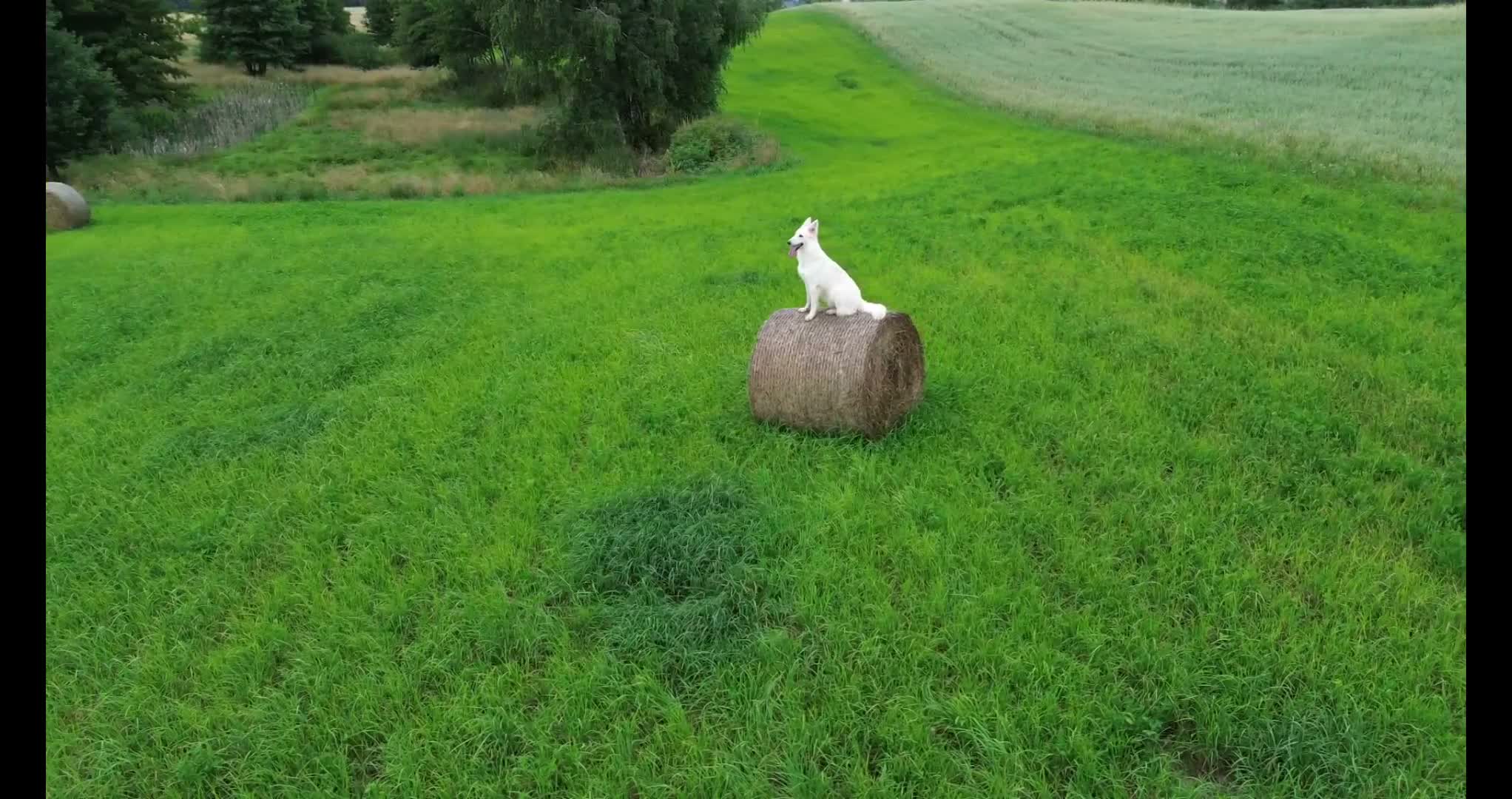 A drone video from Patryk Toczyński's portfolio on LetsFly.